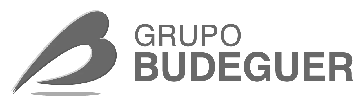 grupo-budeguer-logo